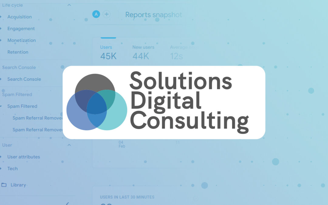 Filter spam blog by Solutions Digital Consulting